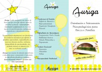 /album/actividades-sensibilizacion-social/triptico-auriga-1-jpg1/